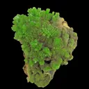 Pyromorphite - image 5