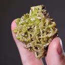 Pyromorphite - image 2