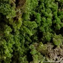 Pyromorphite - image 5