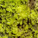 Pyromorphite - image 2