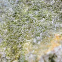 Pyromorphite 1635 grams - Steinbach, Cernay, Haut-Rhin, Grand Est, France - image 6