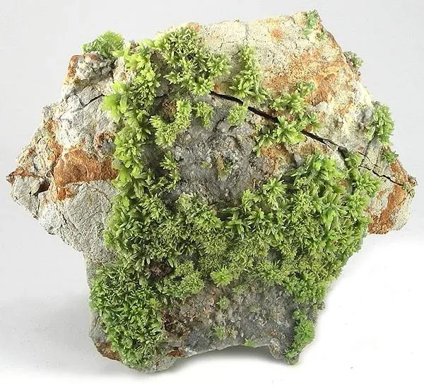 Pyromorphite image