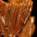 Pyromorphite - image 2