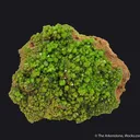Pyromorphite (1907, ex. Bosch) - image 1