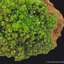 Pyromorphite (1907, ex. Bosch) - image 4