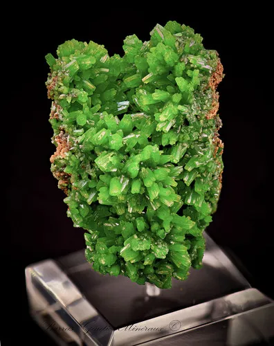 Pyromorphite image