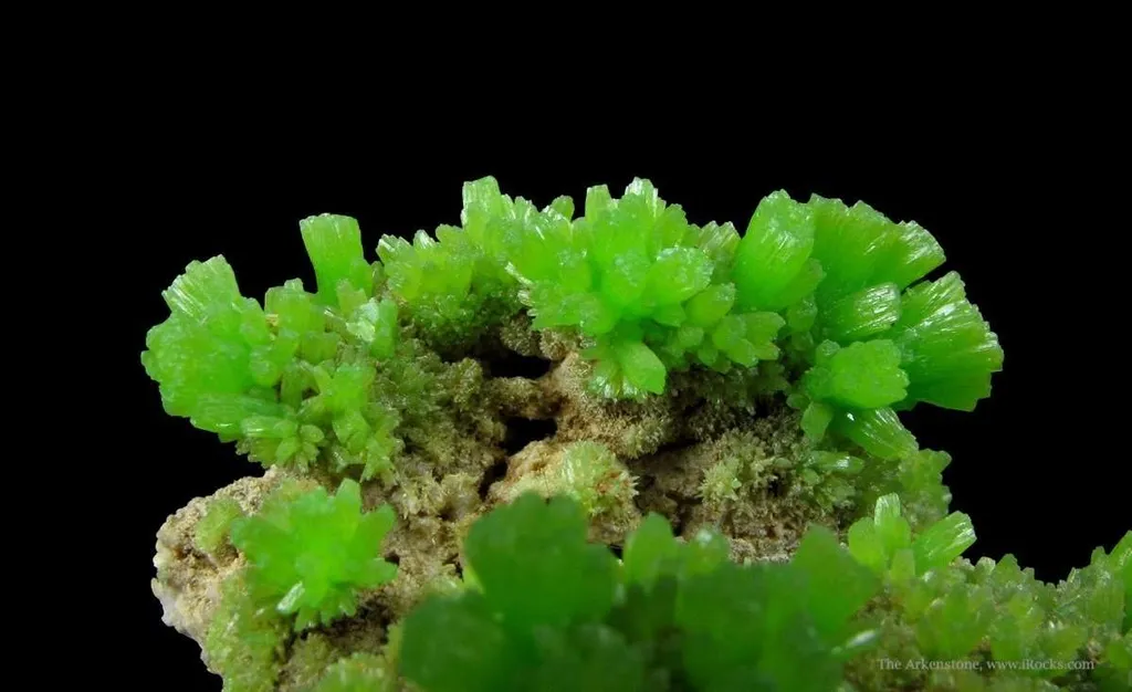 Pyromorphite image