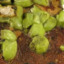 Pyromorphite - image 3