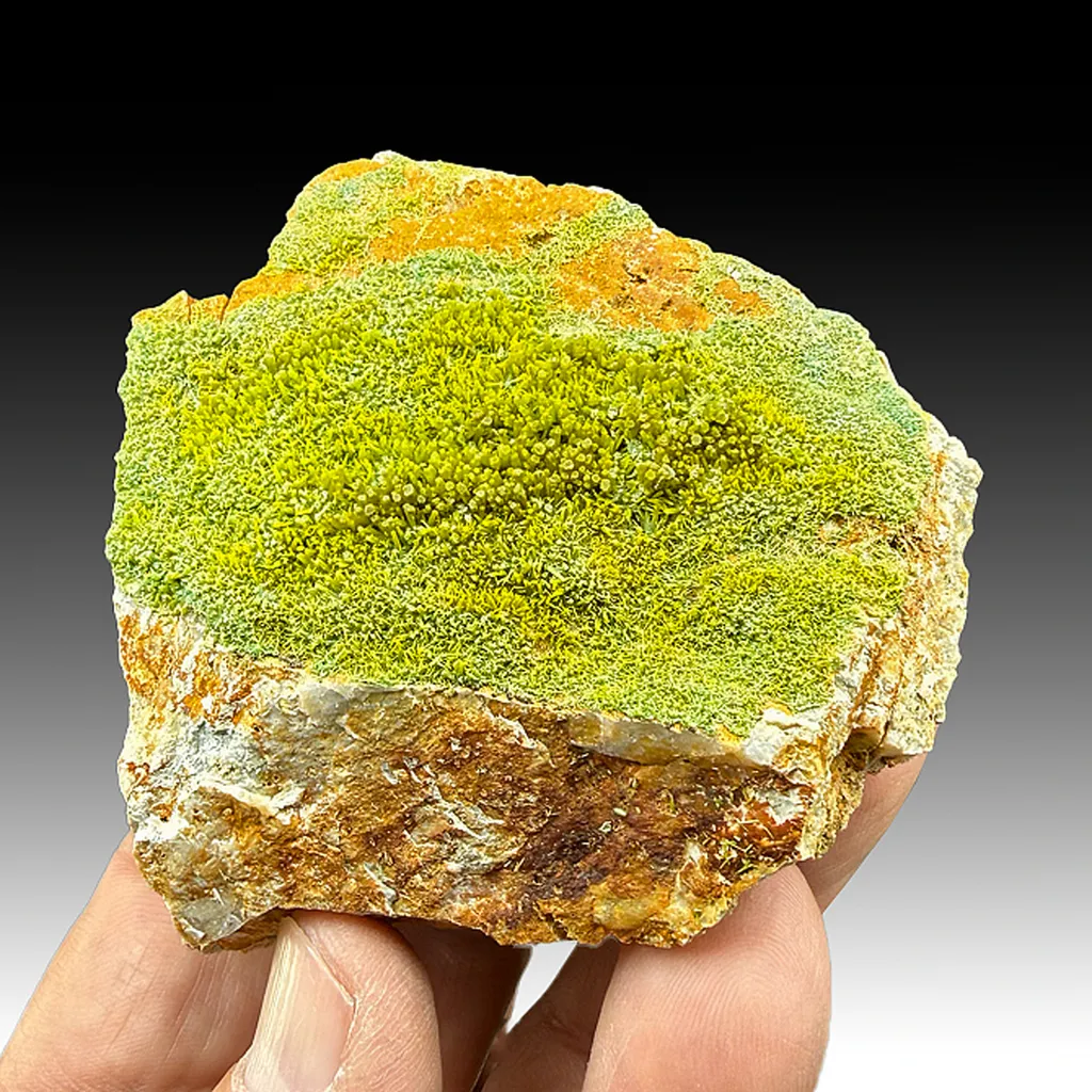 Pyromorphite image
