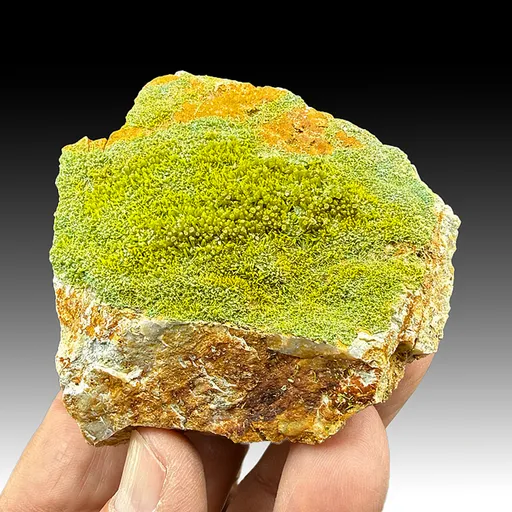 Pyromorphite Variations Pyromorphite