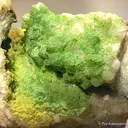 Pyromorphite - image 2