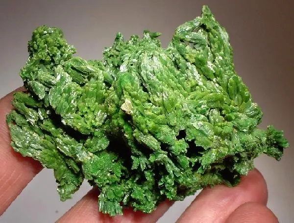 Pyromorphite image