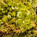 Pyromorphite - image 4