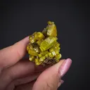 Pyromorphite - image 2