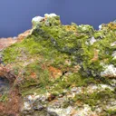 Pyromorphite 320 grams - Le Cantonnier vein, Nontron, Dordogne, France - image 1