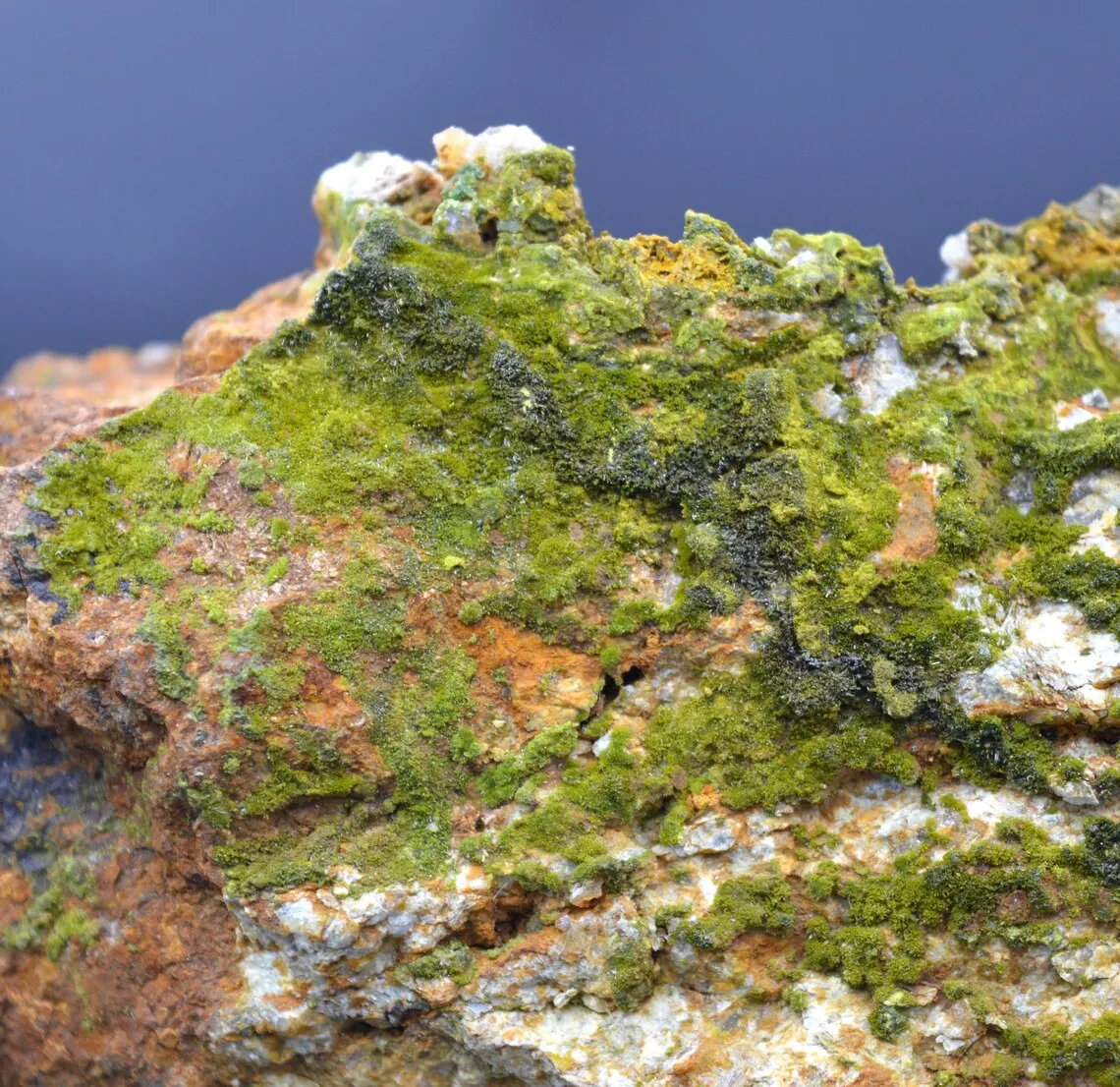 Pyromorphite 320 grams - Le Cantonnier vein, Nontron, Dordogne, France - image 1