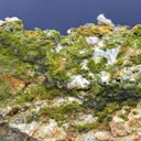 Pyromorphite 320 grams - Le Cantonnier vein, Nontron, Dordogne, France - image 3