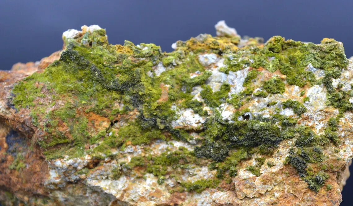 Pyromorphite 320 grams - Le Cantonnier vein, Nontron, Dordogne, France - image 3