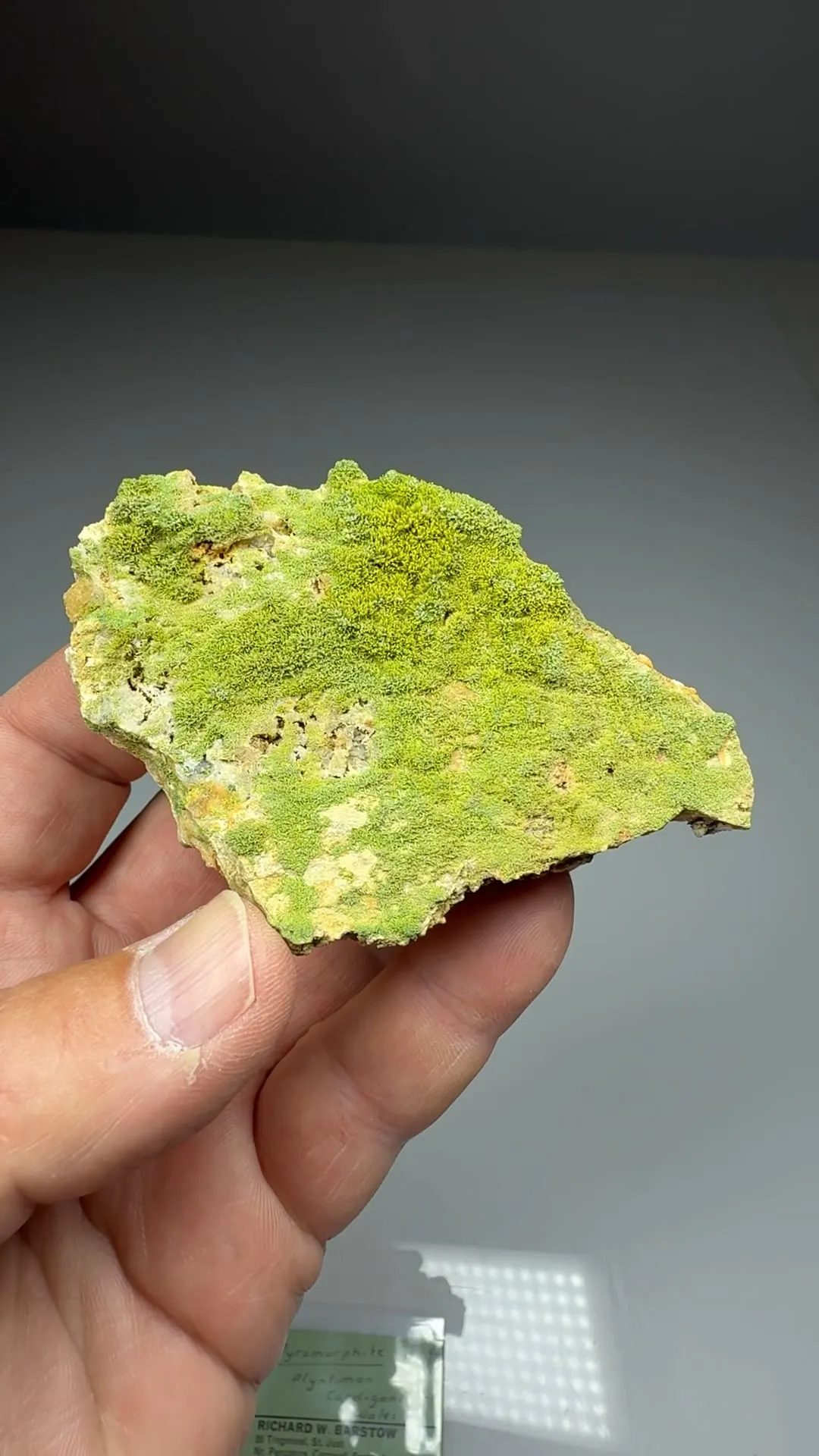 Pyromorphite - image 2