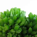 Pyromorphite - image 6