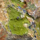 Pyromorphite 385 grams - Le Cantonnier vein, Nontron, Dordogne, France - image 4