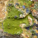 Pyromorphite 385 grams - Le Cantonnier vein, Nontron, Dordogne, France - image 1