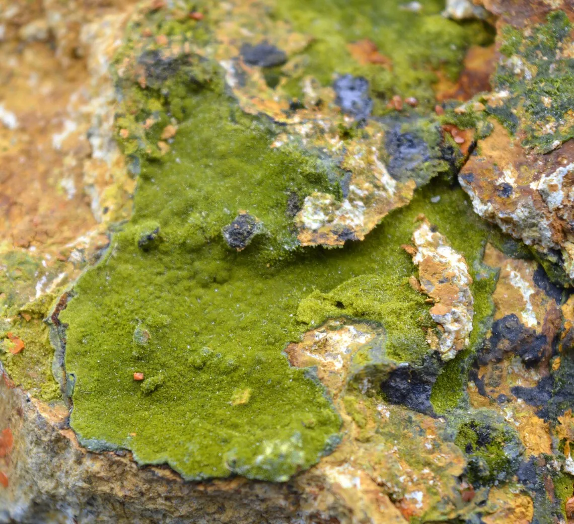 Pyromorphite 385 grams - Le Cantonnier vein, Nontron, Dordogne, France - image 1