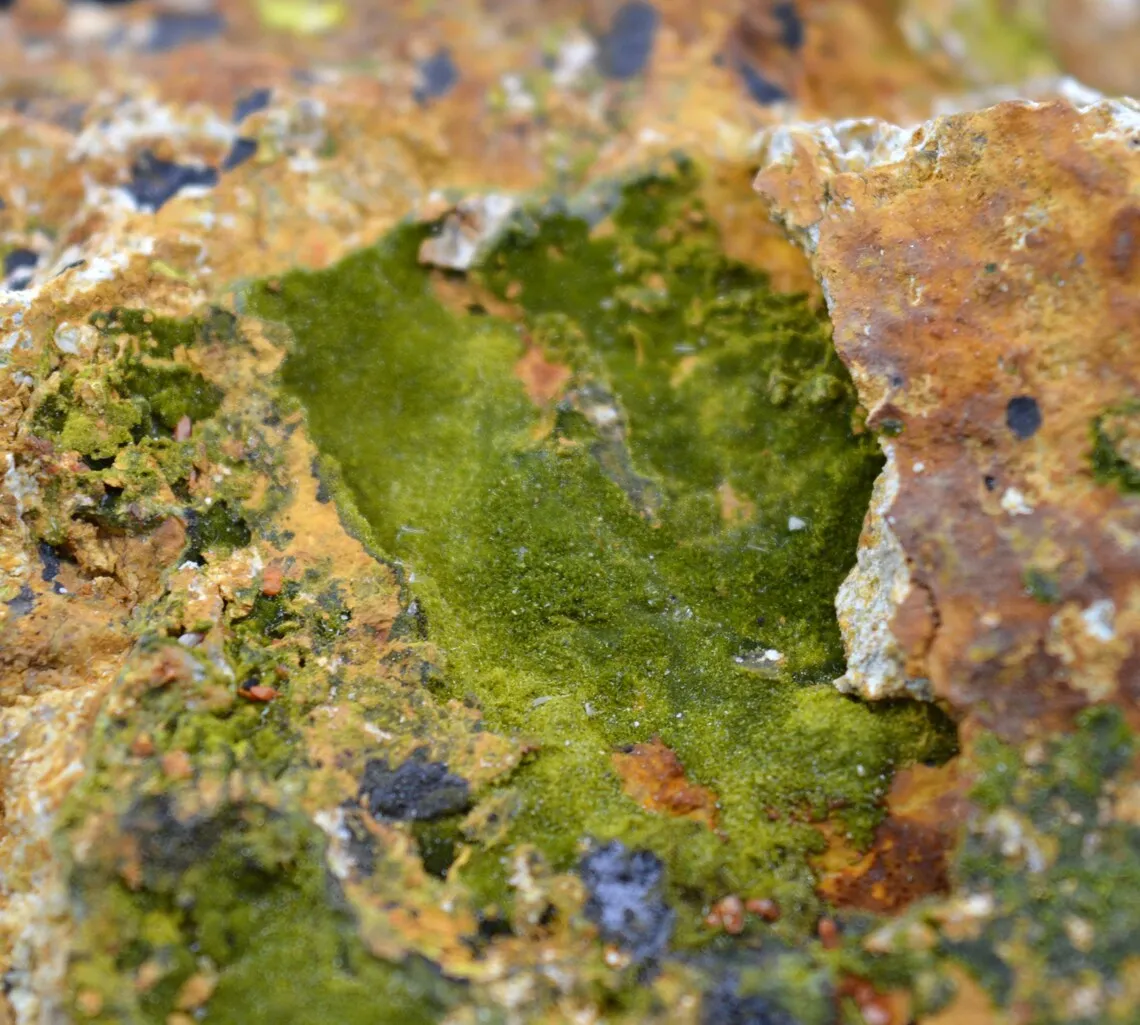 Pyromorphite 385 grams - Le Cantonnier vein, Nontron, Dordogne, France - image 2