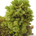 Pyromorphite - image 2