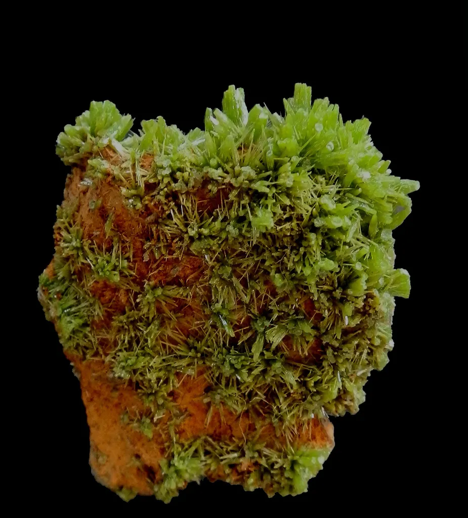 Pyromorphite image