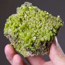 Pyromorphite - image 2