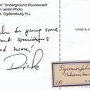 Pyromorphite - image 8