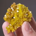 Pyromorphite - image 2