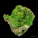 Pyromorphite - image 2