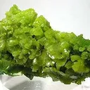 Pyromorphite - image 5
