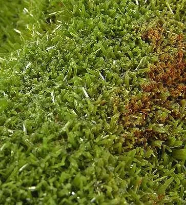 Pyromorphite - image 2