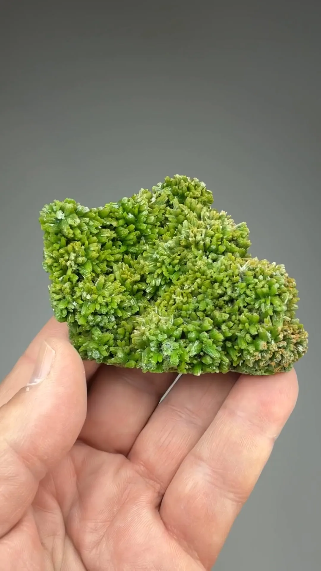 Pyromorphite - image 2