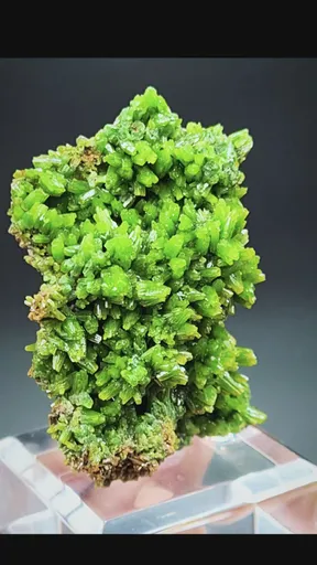 specimen video