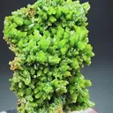 specimen video