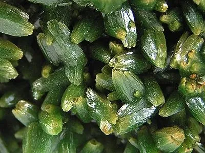 Pyromorphite - image 2
