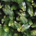 Pyromorphite - image 2