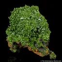 Pyromorphite - image 3