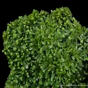 Pyromorphite - image 2