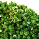 Pyromorphite - image 2