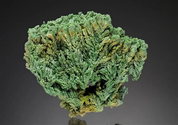 Pyromorphite image