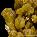 Pyromorphite - image 4