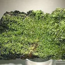 Pyromorphite - image 3