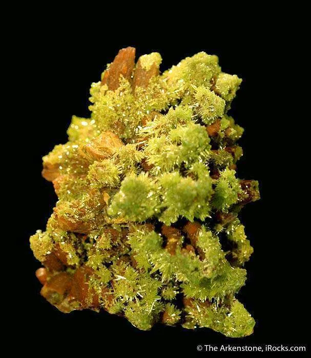 Pyromorphite image