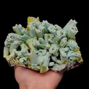 Pyromorphite - image 2