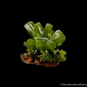 Pyromorphite - image 4